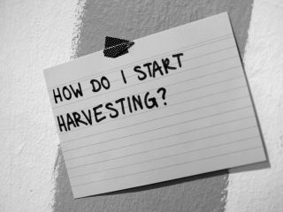 documenting vs harvesting